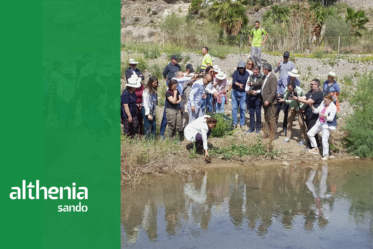 Althenia Sando ha concluido la segunda fase del proyecto de restauración morfológica y naturalización del río Adra. Una actuación de la Consejería Agricultura, Pesca, Agua y Desarrollo Rural de la Junta de Andalucía de 7,4 kilómetros de longitud y que ha inaugurado la propia consejera, Carmen Crespo.