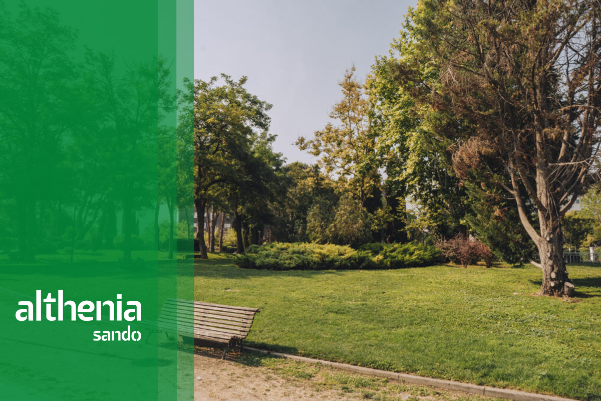 El Ayuntamiento de Coslada ha adjudicado a Althenia Sando la rehabilitación y renovación de los parques del Plantío y del Olivo.