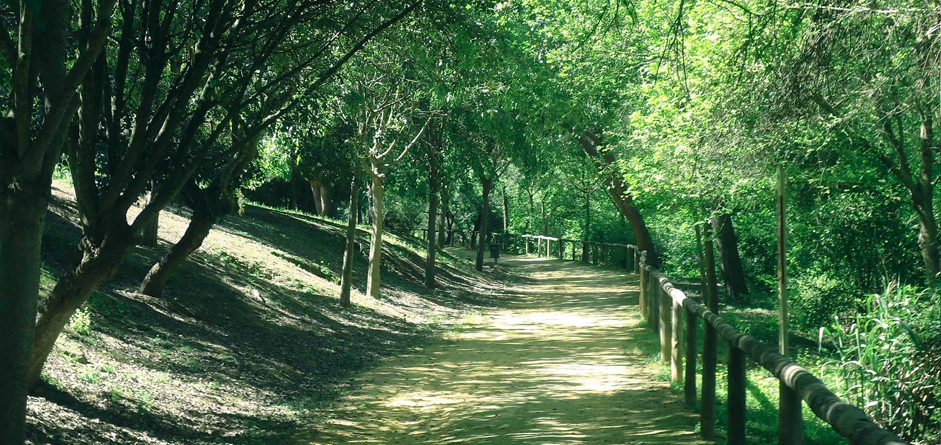 Parques de ribera de Alcalá de Guadaíra