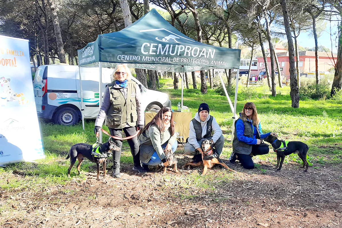 El alcalde de El Puerto de Santa María, Germán Beardo, ha valorado la labor realizada en el Cemuproan, el Centro Municipal de Protección Animal, que gestiona Althenia Sando. Durante el pasado ejercicio se consiguió doblar la atención a colonias felinas y se llevaron a cabo 344 adopciones.