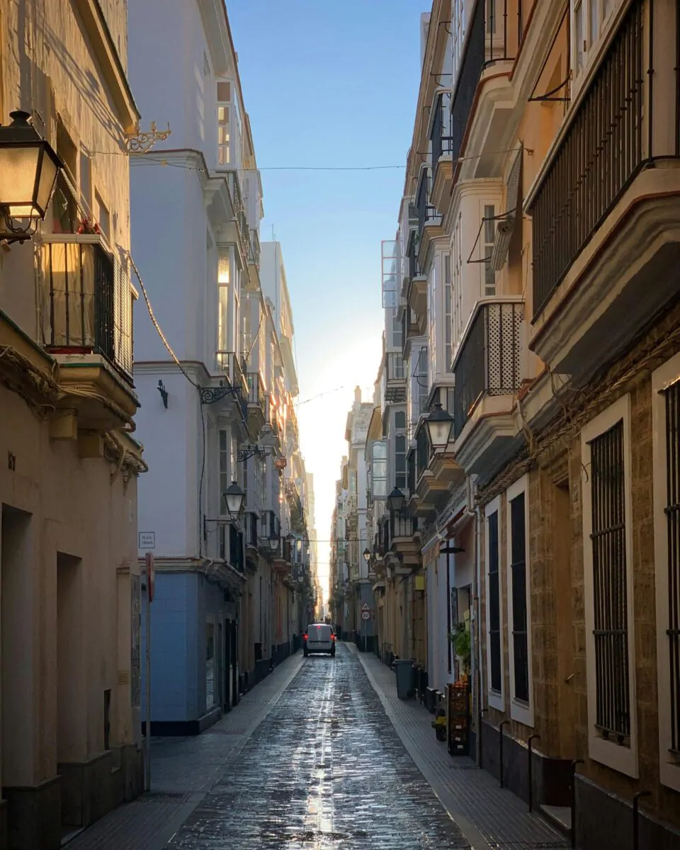 El Ayuntamiento de Cádiz ha adjudicado a Conacon Sando el servicio de conservación y mantenimiento de edificios y locales municipales, viario público y mobiliario urbano. El contrato tendrá una duración de dos años con la posibilidad de una prórroga de otros dos.