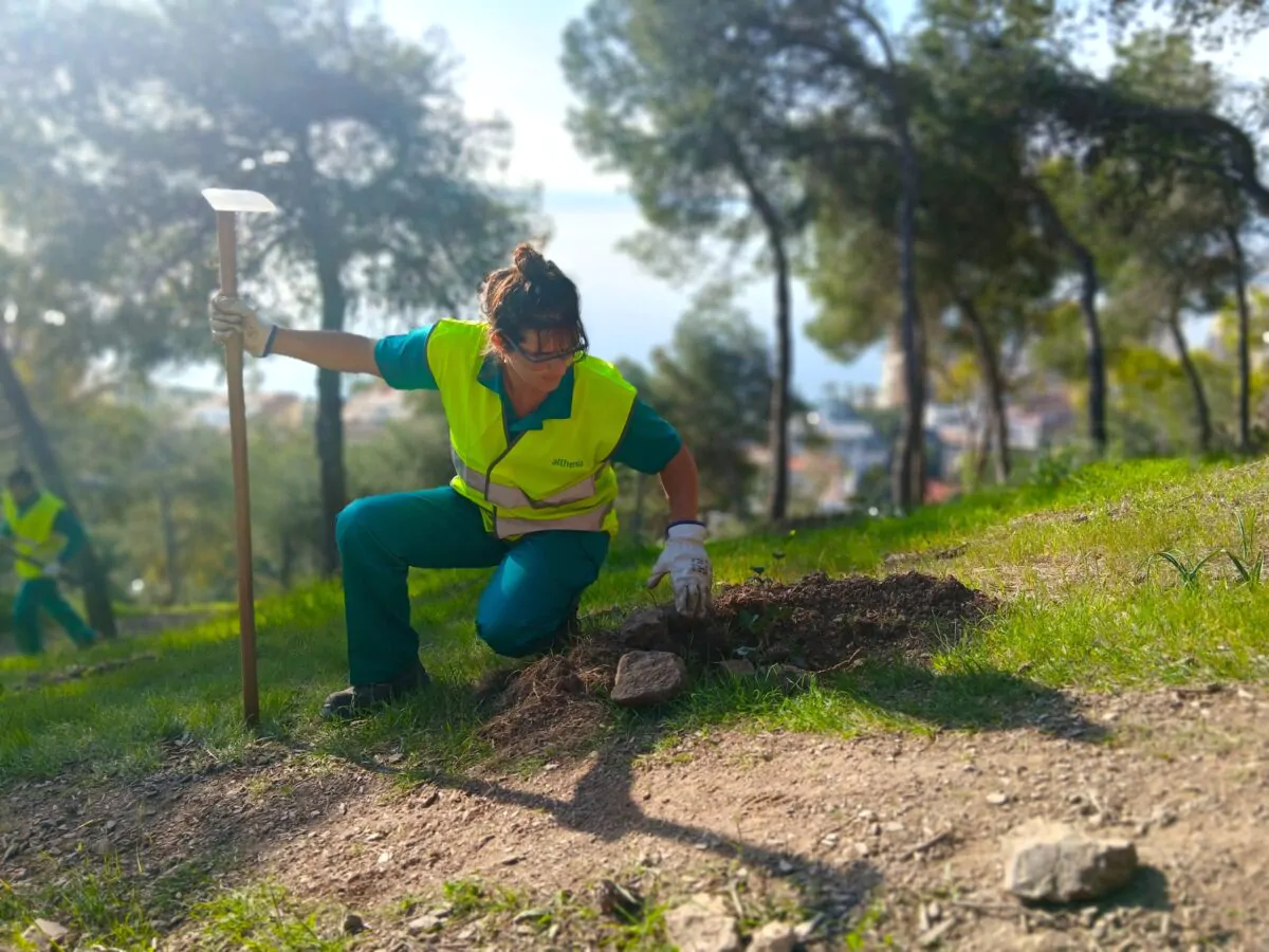 Althenia Sando llevará a cabo un nuevo plan de reforestación puesto en marcha por el Ayuntamiento de Málaga, a través del Área de Sostenibilidad Medioambiental.